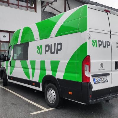 Pup 1